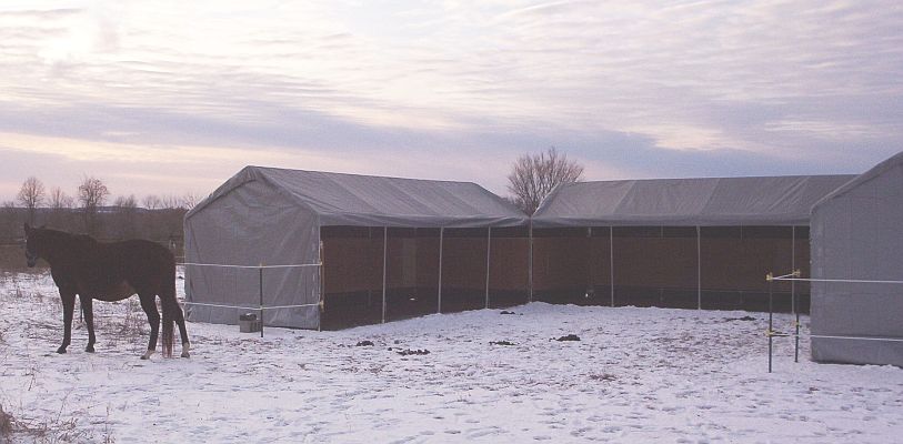 Convertible 10\'8 W x 9\'9 H Shelter - setup as a shedrow or conventional!<font color=\"red\">**FREE SHIPPING SPECIAL ON NOW!!**</font>