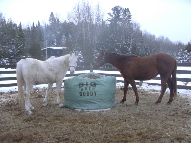 NEW! Big Bale Buddy - unique round bale hay feeding system.