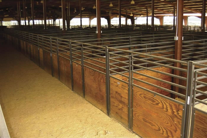 Showplace Portable Horse Stalls - 10\' Fronts w/door and optional wood or poly filler.